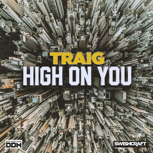 High on You (Disko Katz Klub)