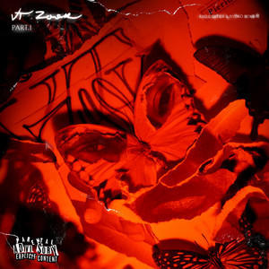 VT ZOOK III (Explicit)