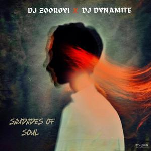 Saudades Of Soul (feat. DJ ZooRoyi)