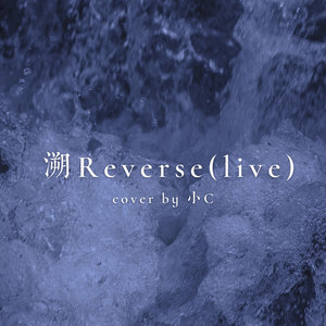 溯Reverse