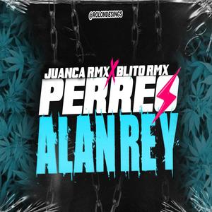 PERREO ALAN REY (feat. BlitoRMX) (Remix)