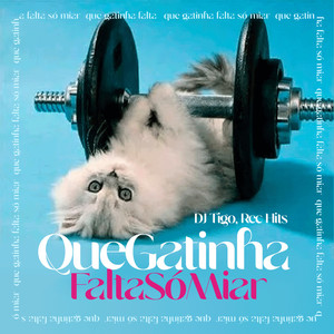 Que Gatinha, Falta Só Miar (Explicit)