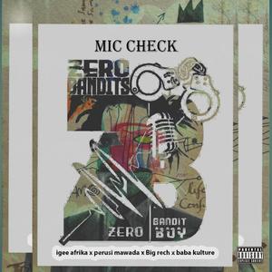 Mic Check (feat. Igee Afrika & Big Rech)