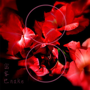 密客巳nake Vol.8