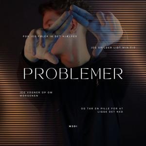 Problemer