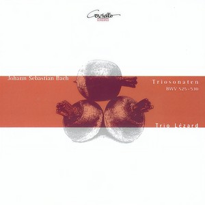 Organ Sonata No. 1 in E-Flat Major, BWV 525 - III. Allegro (Arr. for Clarinet, English Horn and Bassoon)