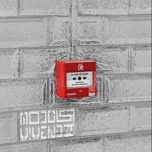 Second souffle (feat. Kuro P) (Explicit)