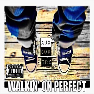 Walkin' on Perfect (Explicit)