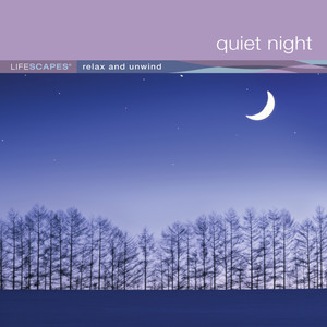 Quiet Night