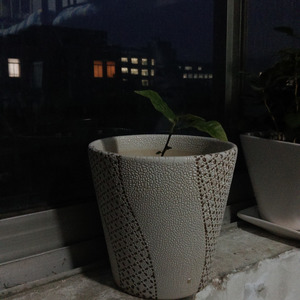 昨夜的一通电话