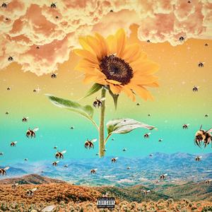 Flowers (Explicit)