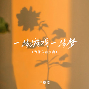 一场游戏一场梦 (为什么道别离)