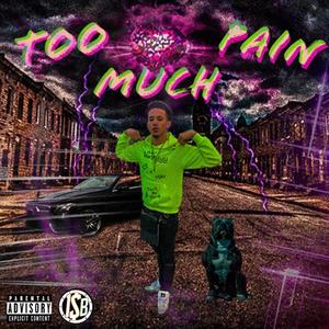 Too Much Pain (Explicit)