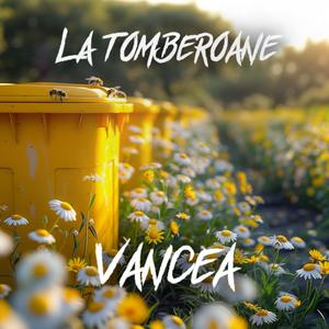 La Tomberoane by Vancea