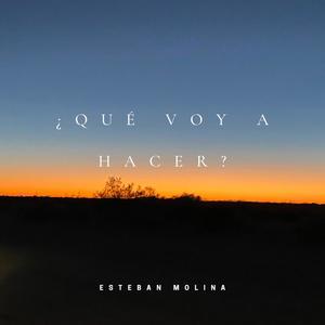 ¿qué voy a hacer?