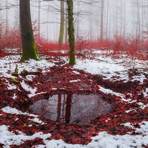 NYCTALOPIA (Explicit)