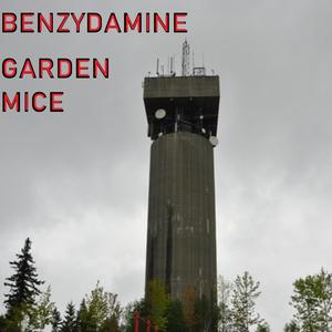 Benzydamine (Explicit)