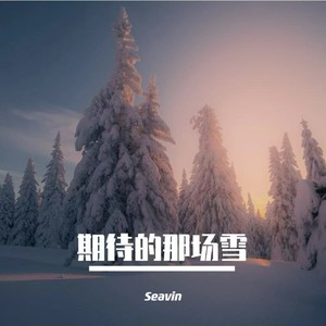 期待的那场雪