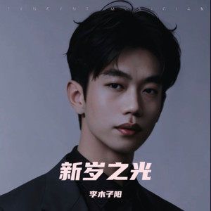 新岁之光