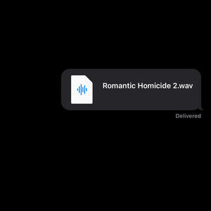 Romantic Homicide 2