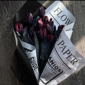 郁金香凋谢太快 (Remix)