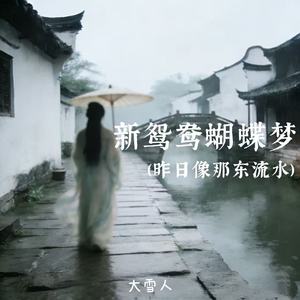 新鸳鸯蝴蝶梦（昨日像那东流水）