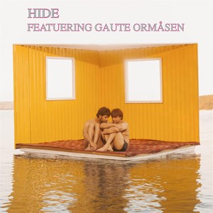 Hide