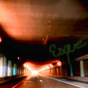 getting fired thru zoom