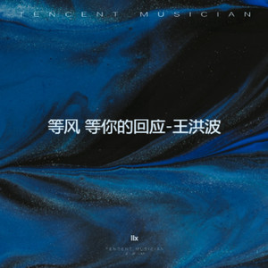 llx - 等风 等你的回应-王洪波