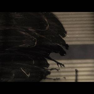 Snakes (feat. Guttaboymari) (Explicit)