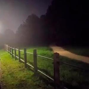 Sangre (feat. hopeeday)