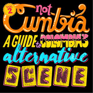 Not Cumbia: A Guide To Colombia's Alternative Scene, Vol. 2