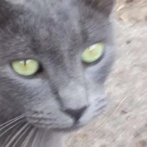 my body (feat. heavyrain)