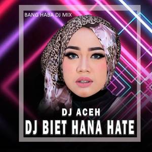 Biet Hana Hate (Remix Aceh)