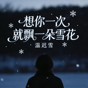 想你一次就飘一朵雪花