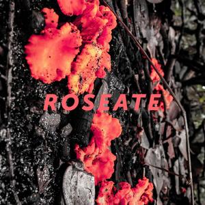 Roseate EP