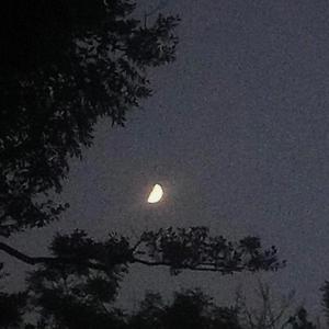 Midnight Blues (Explicit)