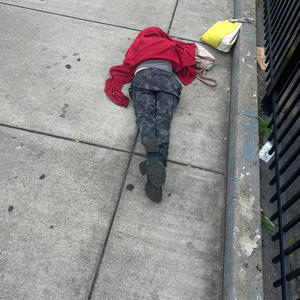 FreeThecells (feat. Lil Dub, Skrome & Switch|Explicit)