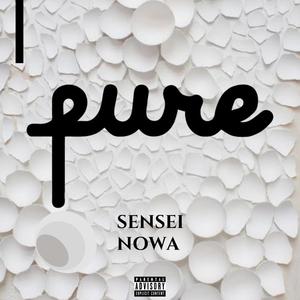 PURE (Explicit)