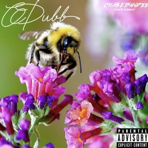 Bumblebees (Explicit)