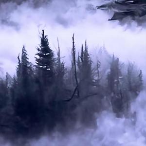 Foggy Woods1