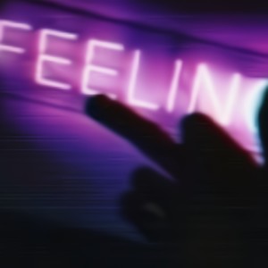 Feel the Feelings (feat. AyekDa1) [Explicit]