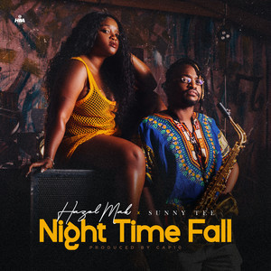 Night Time Fall
