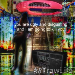 you are ugly and disgusting and i am going to kill you (Explicit)