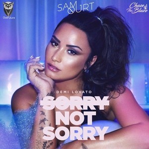 Sorry Not Sorry (Sam Ourt Remix)