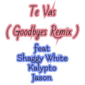 Te Vas (feat. Kalypto) [Goodbyes Remix]