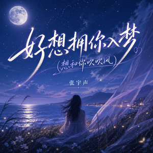 好想拥你入梦（想和你吹吹风）封面