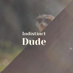 Indistinct Dude