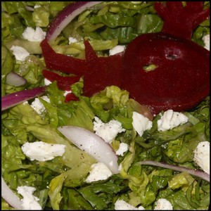 Deer - Thinking of Me