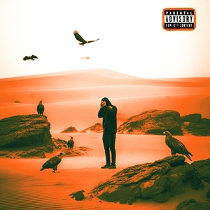 15 FREESTYLE (Explicit)